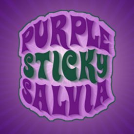 Purple Sticky Salvia™