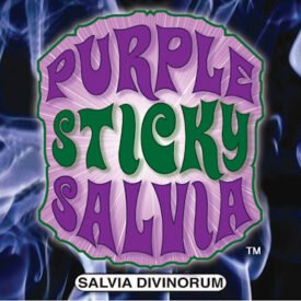 Salvia Organic Leaf